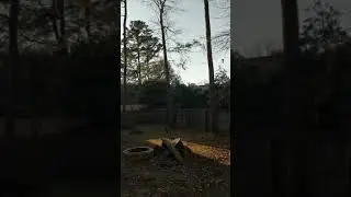M.L. Walker Crow call