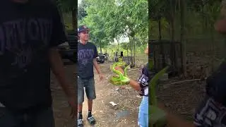 Adivina el Animal #1 #jaywonder01 #juego2025 #juegosdivertidos #funnyvideo