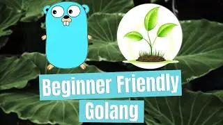 Regular Expressions - Beginner Friendly Golang