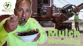 Как это сделано...Цветная ландшафтная мульча