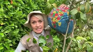 Celebrating World Environment Day