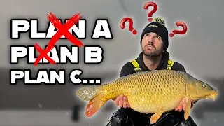 ON cherchait le bon APP&Acirc;T&hellip; MAIS j&rsquo;ai cherch&eacute; les CARPES et ...!
