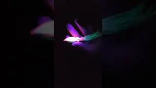 A.S.A. Metal Kalamar jig karanlık ortam &ccedil;ekimi...