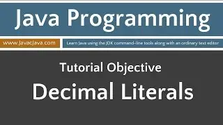 Learn Java Programming - Decimal Literals