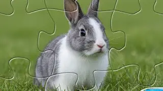 Jigsaw Puzzle Cute Rabbit Clue 🐇 🐰 🗝️ 🧩🧩@Puzzlegameiq123 //##