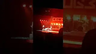 OG3NE Amy Vol solo