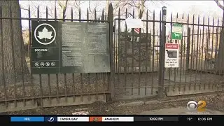 At Least 3 Dogs Die After Visiting Popular Dog Run In Brooklyn