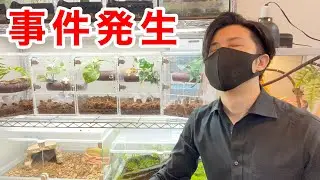 事件が起きました。