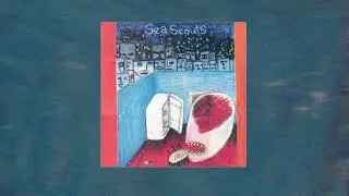 Sea Scouts - Pattern Recognition (1997)