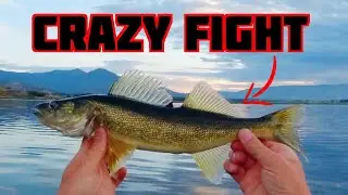 HOT Summer Fishing - Deer Creek Utah 2024