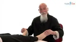Reflessologia Zu - Laozu Baldassarre - Tecniche di massaggio - Preview