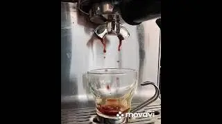Fire Dept Coffee Cinnamon Whiskey Spirit Infused on the Breville