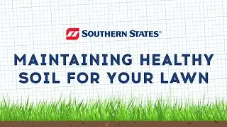 Maintaining Healthy Soil For Your Lawn