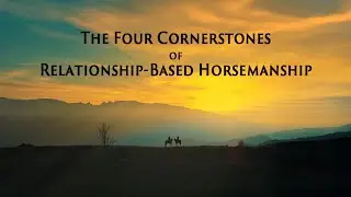 The Four Cornerstones of Relationship-Based Horsemanship