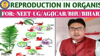 #REPRODUCTION IN ORGANISM#जीवों में जनन (हिंदी में)#plasmotomy#Budding#external & internal bleeding