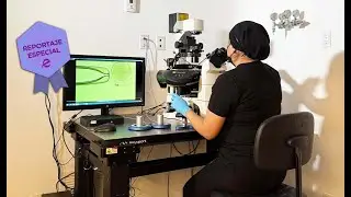 ESPECIAL | Detrás del primer latido: Fertilidad asistida