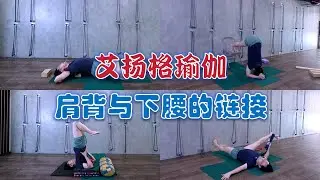 跟练视频 | 艾扬格瑜伽 | 肩背和下腰部的链接与互动 | 半日制密集培训课程 | 线上瑜伽课程 | 250330