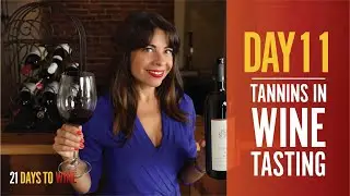 What are Tannins in Wine - Day 11