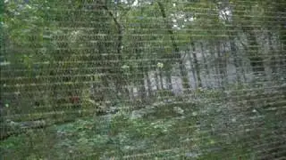 bearclaw paintball porkchop hill final battle