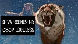 All Shiva Scenes (TWD) logoless 1080p