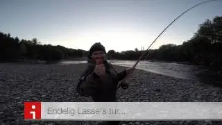 Laksefiske i Verdalselva