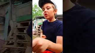 Ce face el acolo!#short #shorts