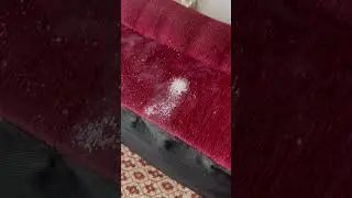 Wymrażanie pluskiew Cryonite - natychmiast likwiduje owady i jaja bez użycia chemii.