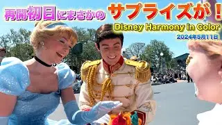 【ディズニーハーモニーインカラー】 2024年5月11日 Disney Harmony in Color / Tokyo Disneyland