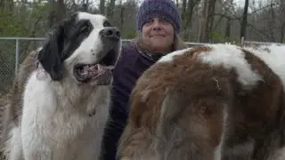 Wade Walks: Hounds and Hikes