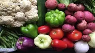 Community-supported agriculture changing farm-to-table game