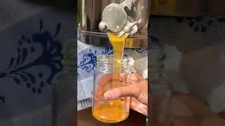 This Is Why Honey Never Spoils After 100000 Years #shorts #viral #reels #trending #tiktok