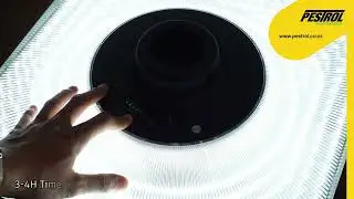 Pestrol Solar Garden Light 1080 50s.mp4
