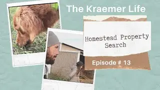 Homestead Property Search | Property Search Vlog #13