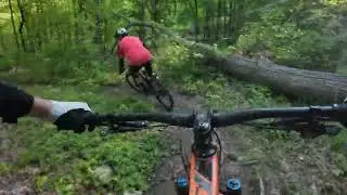 Ninham May 10th