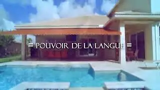 Pouvoir de la langues. Paulin ilapa
