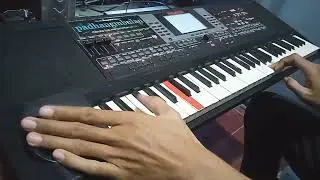 DUMES- STYLE BARU korg micro arranger