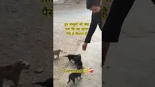 social activity 🥹❤️&zwj;🩹 #youtubeshorts #shorts #viral #explore #shyam #indian