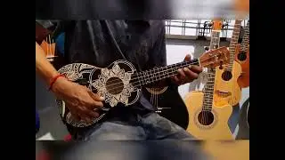 Guson ukulele sound review || Guitar shop in Bangladesh || UKULELE SHOP IN BD