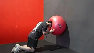 Bear plank walk VS Swissball