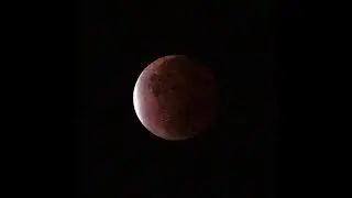 Super Blood Wolf Moon Lunar Eclipse 🩸🐺🌘