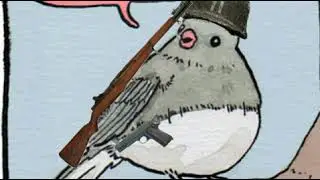 Random annoyed bird meme