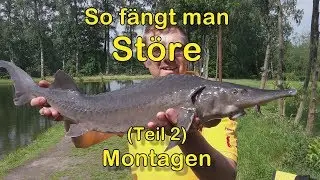 St&ouml;rangeln Teil 2 - Montage