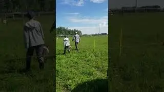 ALUS Wetaskiwin-Leduc Adaptive Multi-Paddock Grazing Pilot
