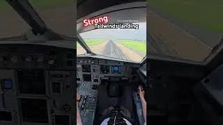 Strong tailwind landing #airbus #aviation