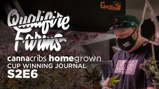How To Harvest, Dry, Cure, Burp and Trim