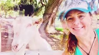 Red Gate Farms RV & Campground Savannah, GA