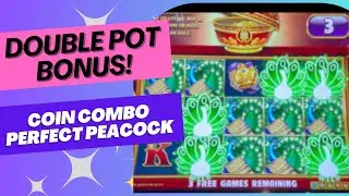 Coin Combo Perfect Peacock Double Pot Bonus!