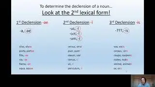 Review of Latin declensions 1-3, our songs, cases and their functions
