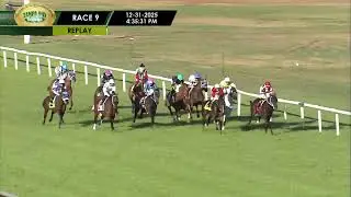 Tampa Bay Downs Live Stream