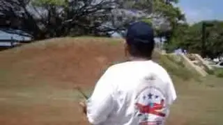 Align RC Heli 3-D